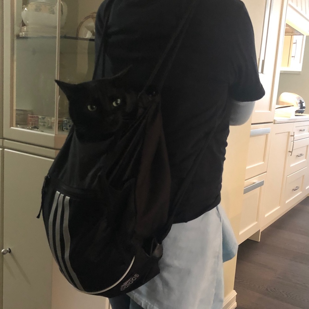 😻 Drawstring Bag - Cat’s not included 😻